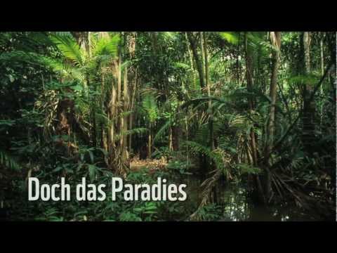 Das bedrohte Paradies