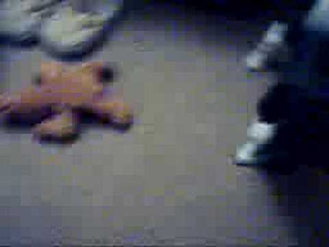 potus and the foot massager, pt. 2