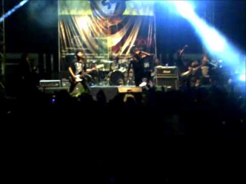 Hyena wants party - you're killer at BKFT47