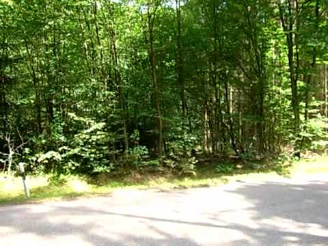 Pure Saugmotor Power- Brutaler Sound