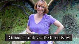 Mayco's Green Thumb vs. Spectrum's Textured Kiwi