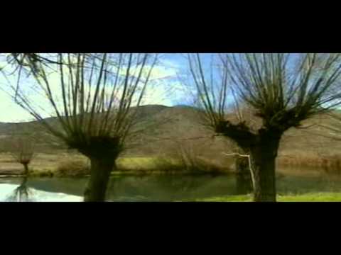 ONDA TG 02.02.2015 - DISCARICA BUSSI   ASSOLTI PERCHE INCONSAPEVOLI