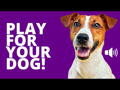 Play These Sounds For Your Dog 🐶❤️ Instant Reaction!