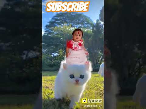 Big dawgs song ,❤️❤️🥹🥹#viral #ytshorts #shortvideos