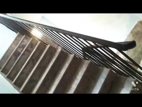 When Cyanophobic people meet Dogs😂