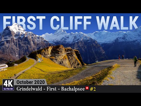 Grindelwald First Cliff Walk by Tissot Bern 4K Switzerland 🇨🇭 - Spectacular Virtual Walking Tour