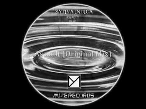 Sativa, Indica - Assault (Original Mix) [Mize Records]