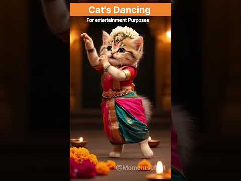 cute cat dancing on rabindra sangeet @Momentsofcat #rabindrasangeet