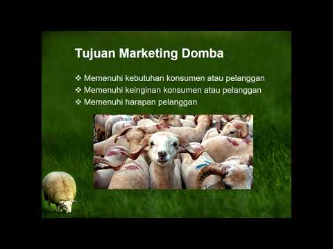 , title : 'Manajemen Pemasaran Domba Kelompok 9'