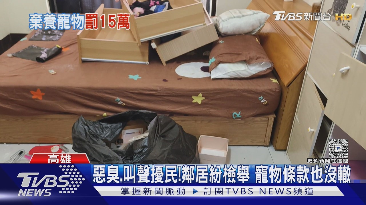 影音/寵物條款形同虛設! 租客積欠房租跑路 留下24貓惹怒鄰居