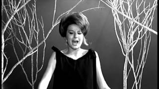 IL CIELO IN UNA STANZA MINA