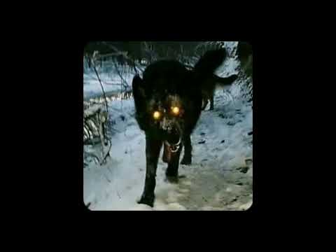 niteboi - u.  (remix)  Best Version