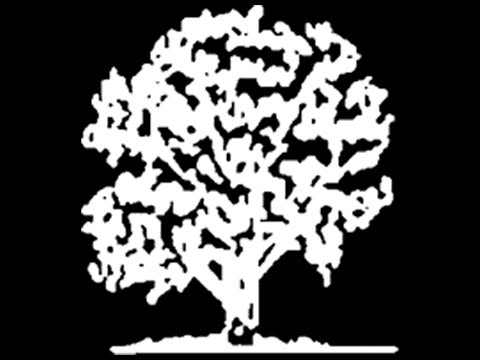 Roydon Primary Academy