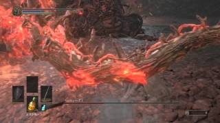 【DARKSOULS3】デーモンの老王 初クリア時