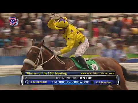 RACE MEETING 25- TEMPS FORT 2017