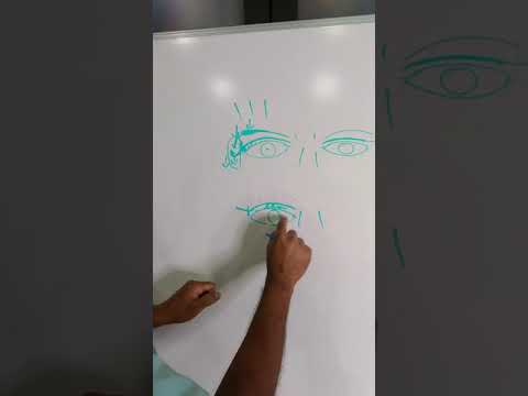 Learn about upper eyelid surgery (Blepharoplasty) and all of the options & techniques.