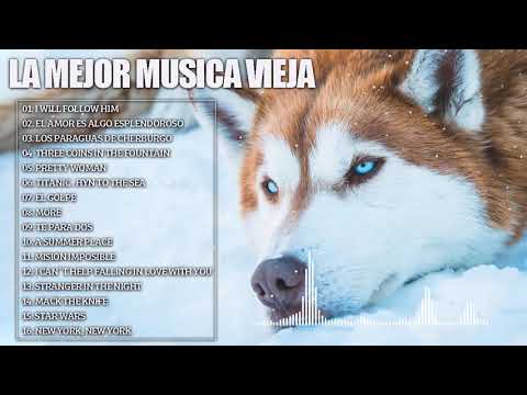 BELLISIMAS MELODIAS INMORTALES A GRAN ORQUESTA - ORQUESTACIONES MAGISTRALES PARA EXITOS DEL RECUERDO