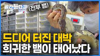 유튜브 썸네일