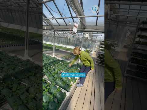 Ganger Saisonopening 2023 Bio Hofladen & Gärtnerei in Wien