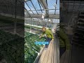 Ganger Saisonopening 2023 Bio Hofladen Gärtnerei In Wien