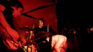 Little Birdy - Excited