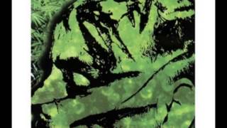 Cephalic Carnage - Anechoic Chamber (Conforming To Abnormality)