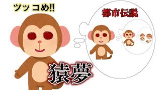 都市伝説『猿夢』につっこんでいく！【ツッコめ！都市伝説！】