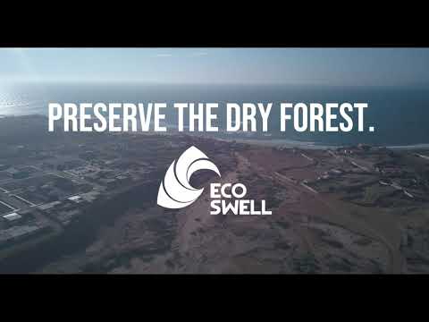 Community-Driven Conservation of Peru's Dry Forest