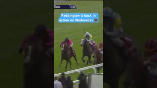 Download lagu Is Paddington the star of the season?  #horse #horseracing #racingtv mp3