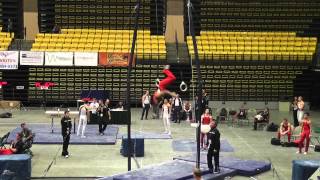 preview picture of video 'Yul Moldauer 2014 Region IX Championships Optional Routines'