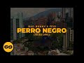 Bad Bunny ft. Feid - Perro Negro (Letra/Lyrics) | nadie sabe lo que va a pasar mañana
