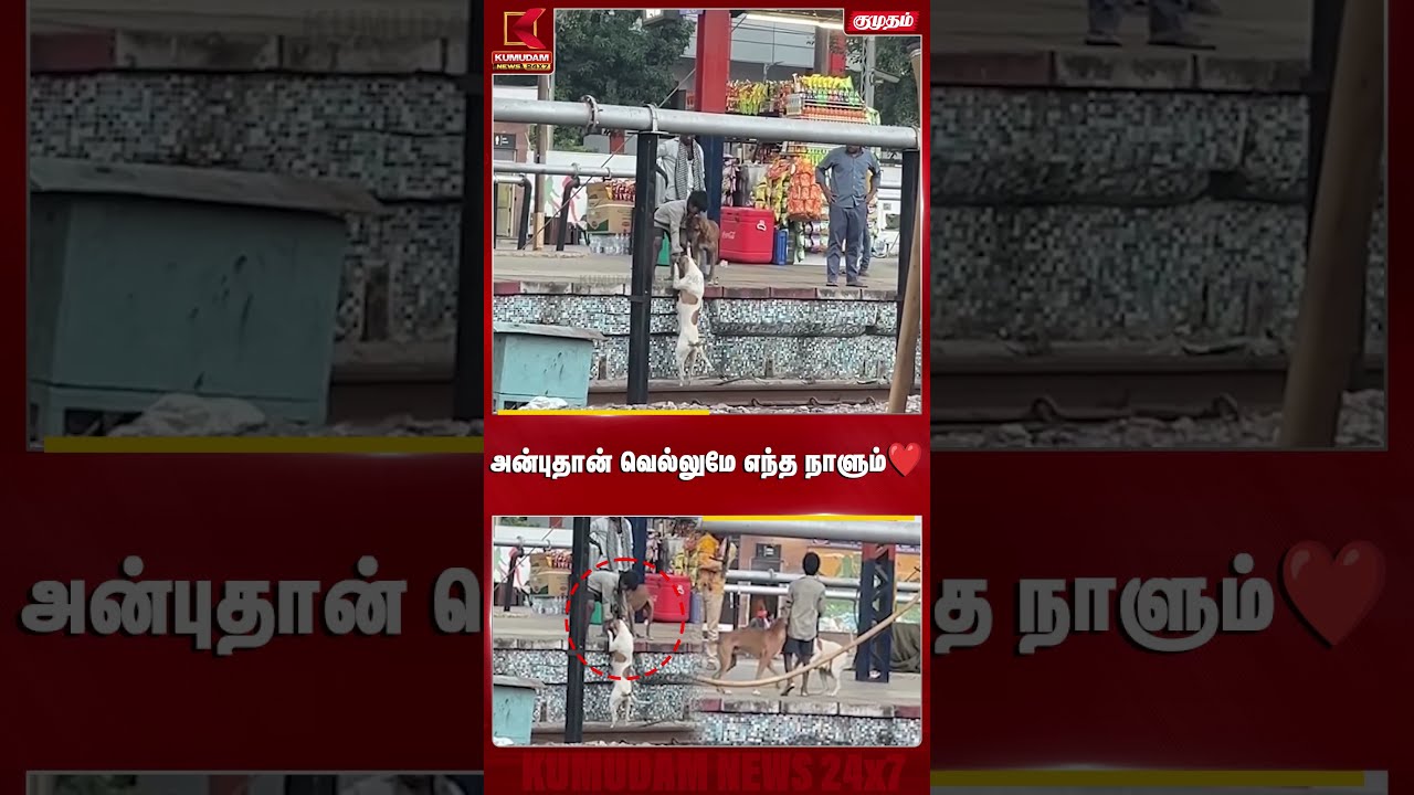 அன்புதான் வெல்லுமே எந்த நாளும்❤️| Dog | Wholesome Moment | Kumudam News