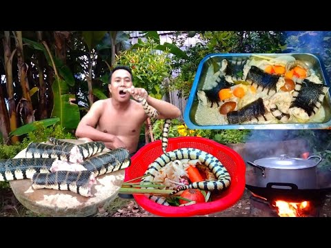 Giant Snake Soup - Big Snake Soup Recipe