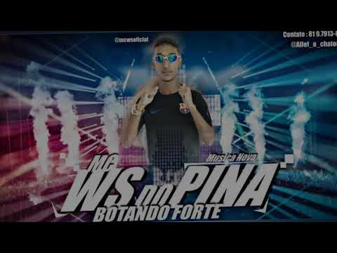 MC WS- BOTADA FORTE MÚSICA NOVA