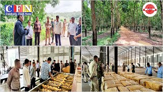 ខេត្តស្ទឹងត្រែងទទួលបានចំណូលពីកៅស៊ូរាប់លានដុល្លារក្នុងមួយឆ្នាំៗ | CFN TV (ព័ត៌មានសេដ្ឋកិច្ច) 13-10-25