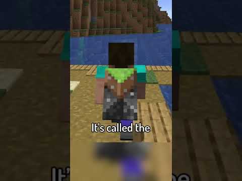 You might have a rare Minecraft cape?