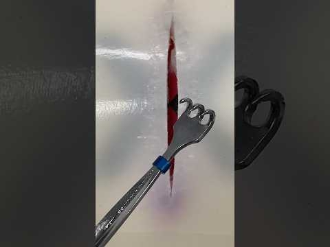 Cat Paw Surgical Instrument #surgicalskills #surgery #surgeon #retractor #surgeonlife #vet #medicine