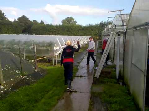 Keihard aan het werk: "Het prut gevecht"