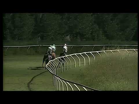 Napoli Galoppo 20/08/2021 - 5ª corsa