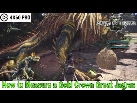 Monster Hunter: World - How to Measure a Gold Crown Great Jagras Video