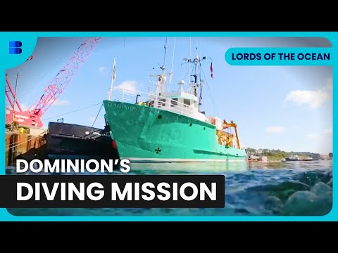 Challenging Wharf Expansion Dive - Lords of the Ocean - S01 EP05 - Ocean Documentary