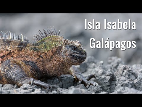 Isla Isabela – Galápagos. Un lugar mágico para el mundo!  Silvia y Steffen en lugares buenísimos 4K