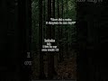I Live In My Own World Author Authortube Books Booktok Booktube Book