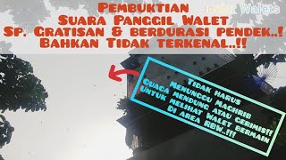 Download lagu Pembuktian Suara Panggil Walet GRATISAN, durasi pendek dan tidak terkenal||Belajar menikmati proses mp3