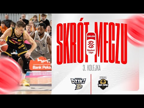 SKRÓT | Dziki - Energa Trefl | 3. kolejka