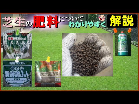 秋の芝生の肥料：いつ、どのように芝生に肥料を与えるのですか？完全ガイド  庭園