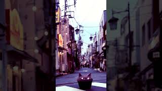 【cv.utada日誌 #05】商店街でスプーン発見 @東中野／ANCHOR 92%  #神ヤヤネヒは帰宅中