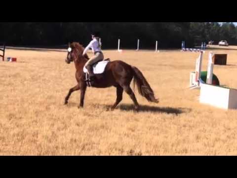 Popeye 18" Apple Tree CT