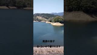 【宮崎】国富町にある籾木池で癒される動画#shorts