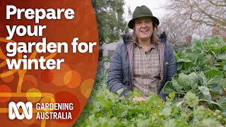 How to prepare and keep your garden&#39;s production up during winter | Gardening Australia